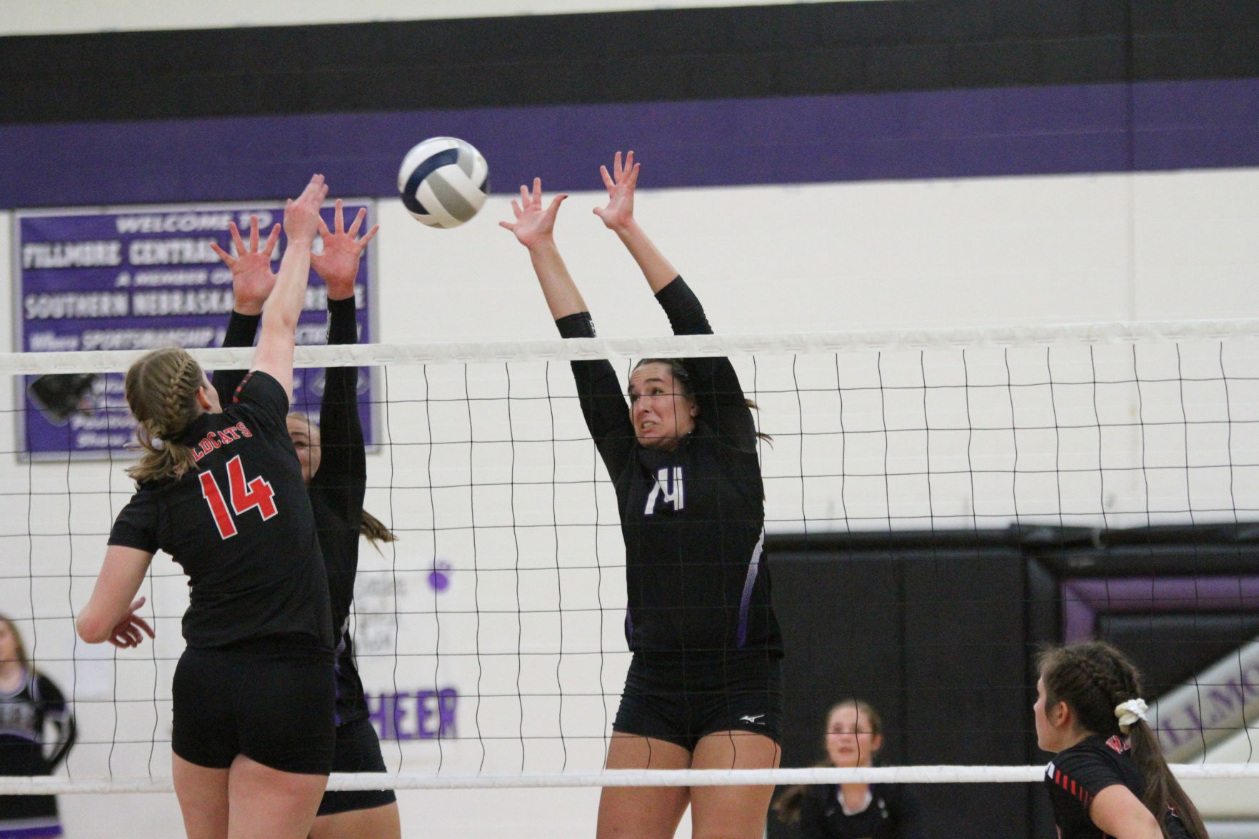 Volleyball (100).JPG